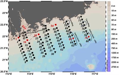Hydrodynamics drives shifts in phytoplankton community composition and carbon-to-chlorophyll a ratio in the northern South China Sea